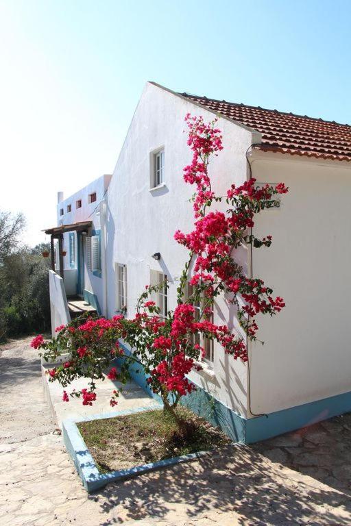 فيلا Casa Do Avo Teixeira سيسيمبرا المظهر الخارجي الصورة